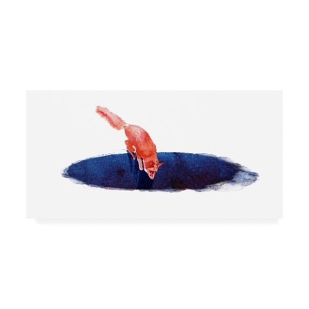 Trademark Fine Art Robert Farkas 'Jump Into Nowhere' Canvas Art, 24x47 IC00551-C2447GG